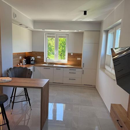 Apartament Nad Barycza Milicz Extérieur photo